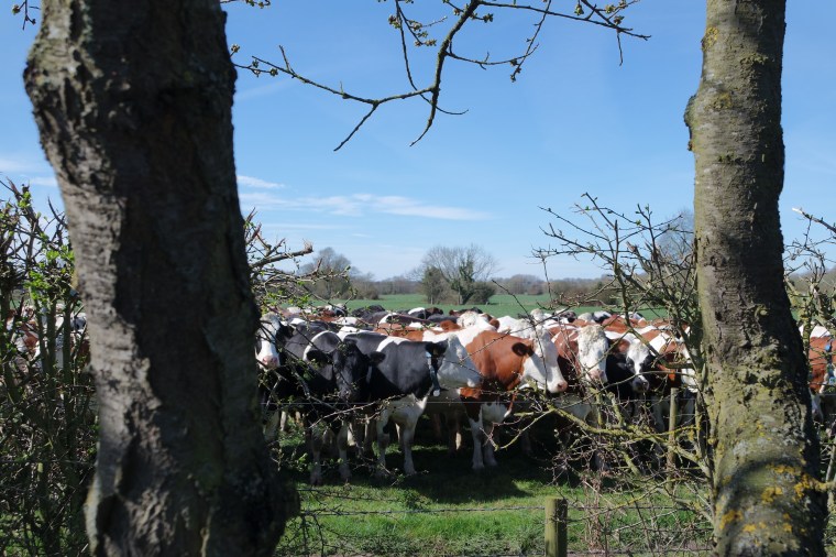 SAMSUNG CAMERA PICTURES