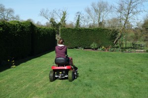 SAMSUNG CAMERA PICTURES